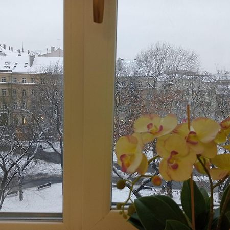 Apartment On Historical Center Of Lviv Luaran gambar