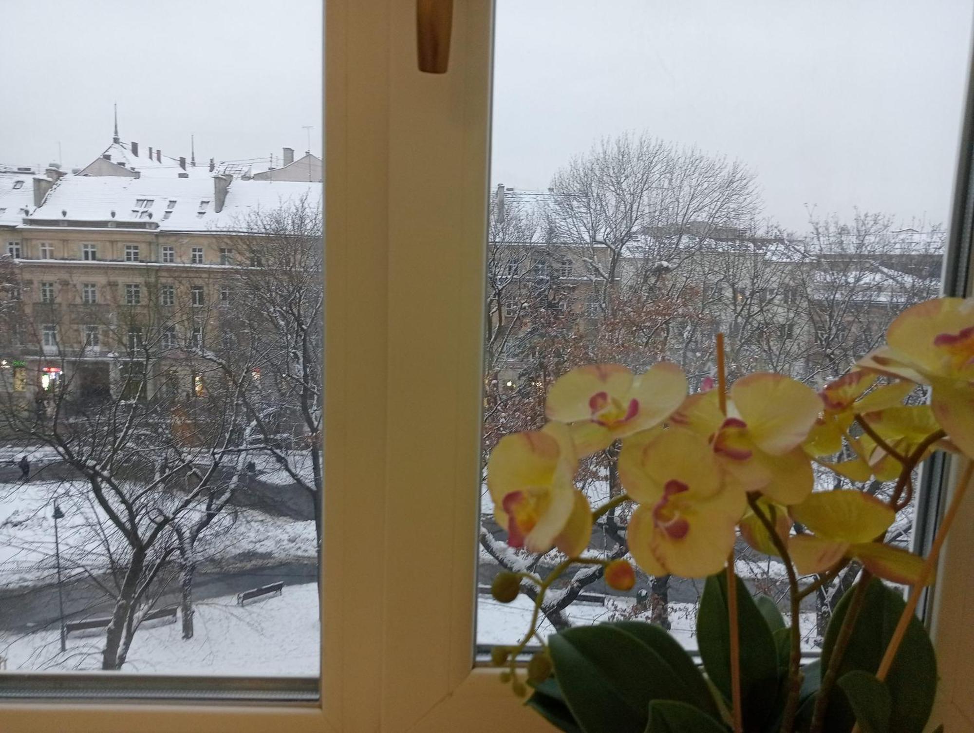 Apartment On Historical Center Of Lviv Luaran gambar